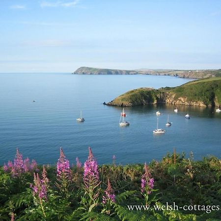 Cwmbrandy Cottage Fishguard Zewnętrze zdjęcie