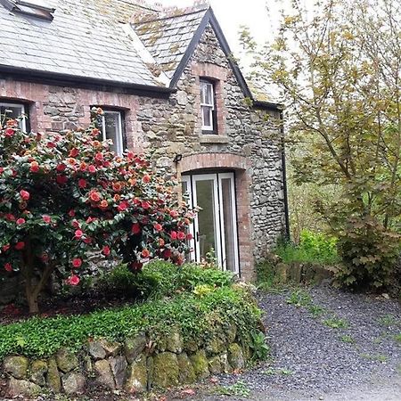 Cwmbrandy Cottage Fishguard Zewnętrze zdjęcie