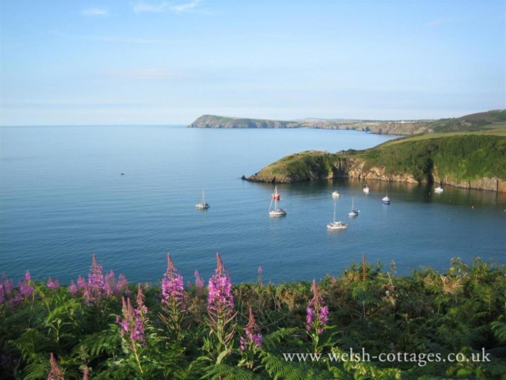 Cwmbrandy Cottage Fishguard Zewnętrze zdjęcie