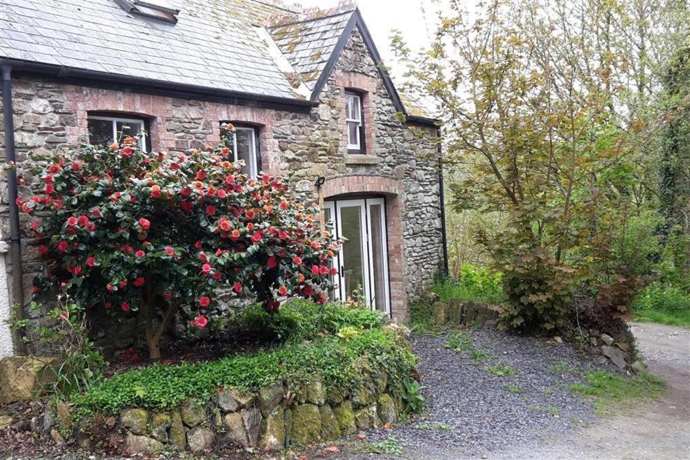 Cwmbrandy Cottage Fishguard Zewnętrze zdjęcie