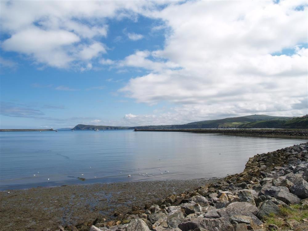 Cwmbrandy Cottage Fishguard Zewnętrze zdjęcie