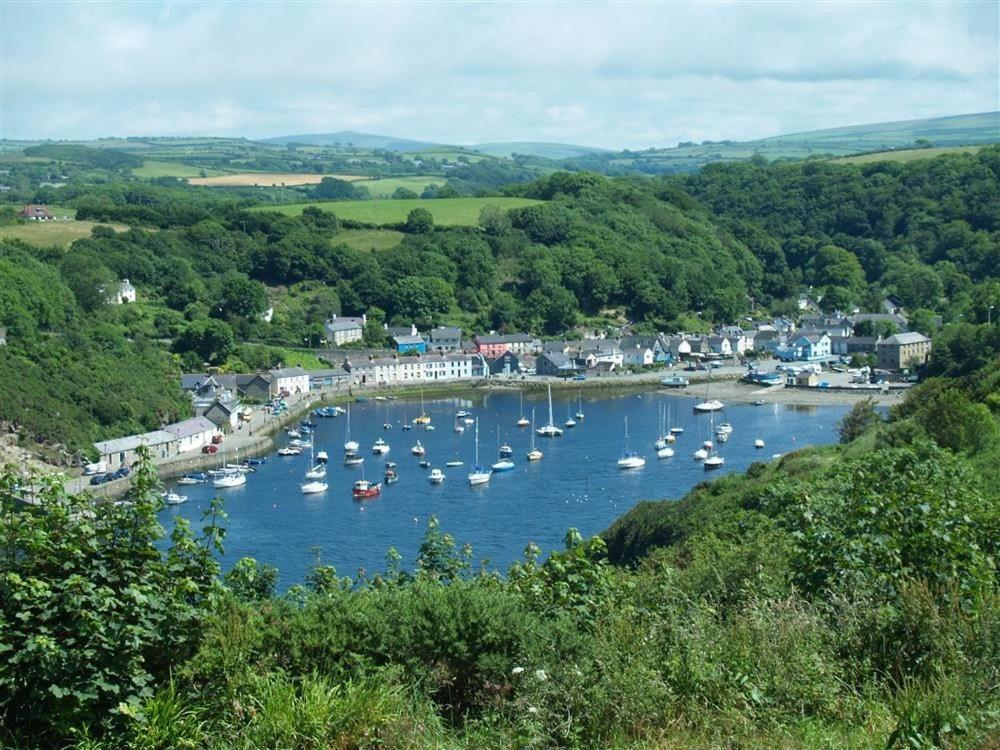 Cwmbrandy Cottage Fishguard Zewnętrze zdjęcie