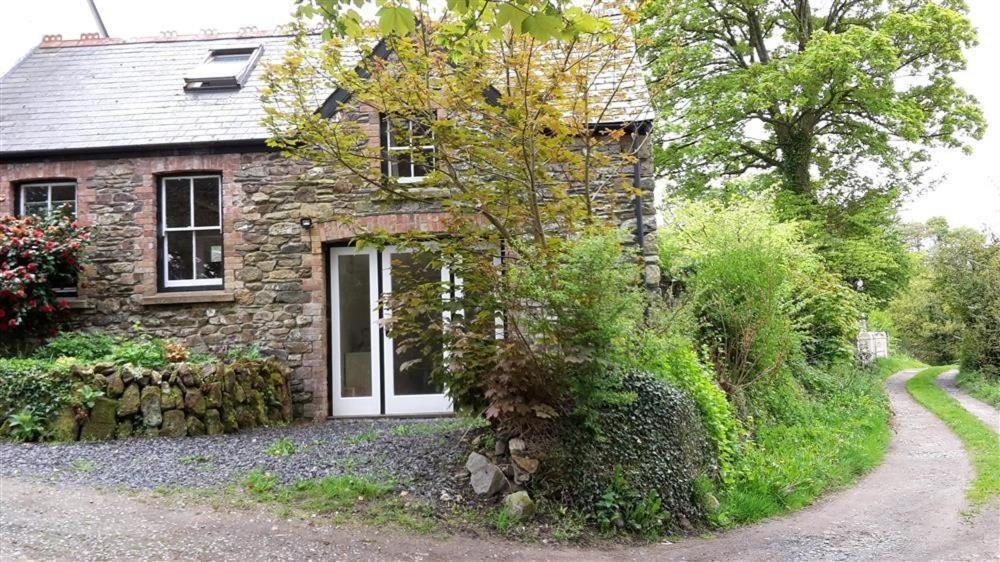 Cwmbrandy Cottage Fishguard Zewnętrze zdjęcie